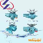 供应DZW防爆电动执行器