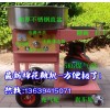 手推车彩色棉花糖机,豪华型小车式棉花糖机,花式棉花糖机