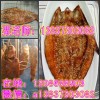 推荐吊炉烤鱼学习班 徐州转炉烤鱼做法培训 传授锡纸烤鱼做法