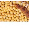 供应大豆提取物，常春藤苷C，白头翁皂苷B，白头翁皂苷D