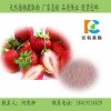 草莓粉 草莓多酚 天然食品饮料添加