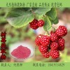 树莓浓缩粉 树莓提取物 厂家直销1公斤起订包邮
