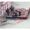 东港潜水施工服务公司-13805106551