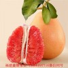 新闻:阳江三红蜜柚苗