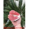 新闻:柳州三红蜜柚苗多少钱