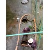 新闻：雅安天全县自来水主管道漏水查找漏点维修中心