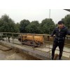 新闻：丘北县市政下水道疏通清淤技术与设备图片√