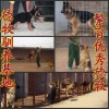 甘肃省甘南藏族自治州哪里有卖小狼狗的小狼狗价格