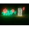 新闻：上海大型花灯节日亮化1