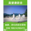 新闻：惠州半全辟谷班可以学老人辟谷