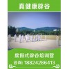 新闻：惠州辟谷网站可以学终南山辟谷班