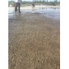 秦皇岛混凝土水泥路面薄层机场跑道起砂露石