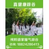 广州辟谷排毒班——2019开班时间
