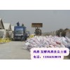 新闻:萍乡晾晒鸡粪肥沃土壤