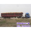 新闻:潞城发酵鸡粪春耕好肥料