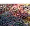 农安县橡套电缆回收价格高的厂家