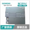 河南新乡西门子PLC（中国）西门子307-1KA02-0AA0性能参数