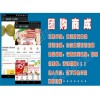 衡水安平县网站排名优化成功案例