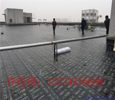 新闻：阳谷县防水卷材厂家—防水卷材