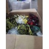 新闻：中山塑料王废料回收价高同行