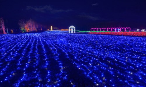 新闻：北京灯光艺术展光影
