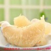 新闻：蚌埠水晶青柚苗出售