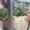 潜江章姬草莓苗多少钱  章姬草莓苗种植基地