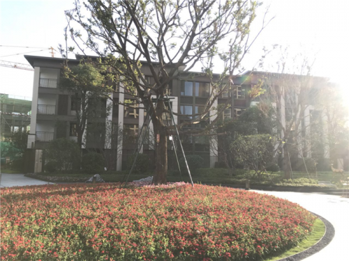 新闻:惠州龙光城一手房房价-龙光城物业费2019房产资讯