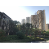 新闻:惠州龙光城二手房价钱-龙光城花园2019最新房产资讯