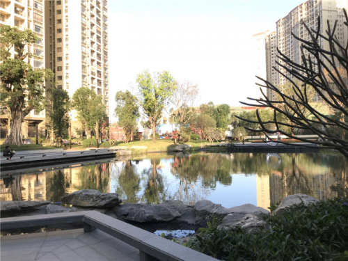 新闻:惠州大亚湾龙光城备案价-龙光城评价2019房产资讯