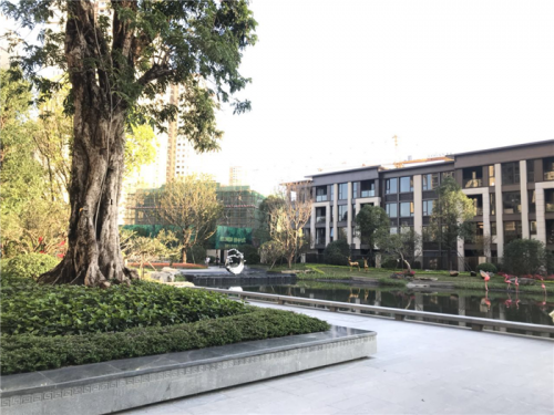 新闻:大亚湾龙光城龙洋房值得买吗-龙光城花园2019房产资讯