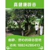 南京辟谷减肥加盟代理—— 第【49期】刘海荣辟谷、