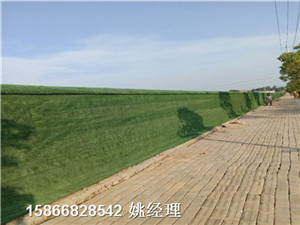 沧州塑料草坪布围墙加盟