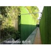 晋城新型围墙材料绿草皮的价格