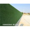 阿拉善盟建筑塑料草皮墙体样式新颖