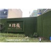 忻州假草皮围墙立面提升工程建设