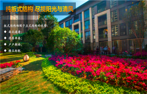 【惠州房地产信息网】惠州的海景房哪个开发商好