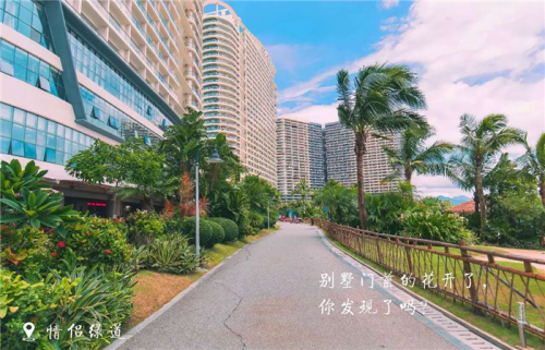 惠州未来房价为什么能上3万吗?惠州惠阳和大亚湾哪个楼盘好
