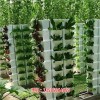 新闻:杭州全自动智能温室大棚物联网软硬件产品供应商 植物生长