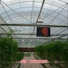 郑州温室大棚物联网系统厂家 植物生长可视化数据可采集(在线咨