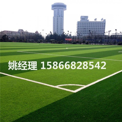邯郸新型人造足球场草坪交易市场(内乌海验收)
