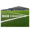巴彦淖尔足球场绿草坪设计(内蒙古呼和浩特验收标准)