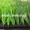 呼和浩特小学足球场地人造草坪优质产品(山西晋城新国际材料)
