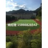 阳泉幼儿园人造草坪足球场生产周期短(河北张家口新国际材料)