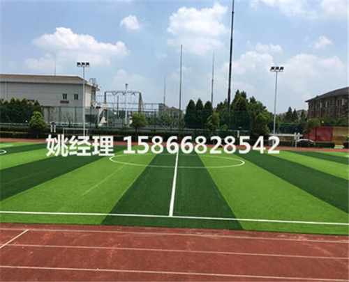 呼和浩特小学足球场地人造草坪优质产品(山西晋城新材料)
