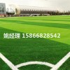 呼和浩特售卖足球场草坪安装简单(山西晋城新国际材料)