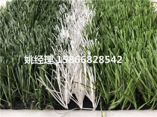 忻州专业足球场草坪草是多少每米(河北衡水验收)