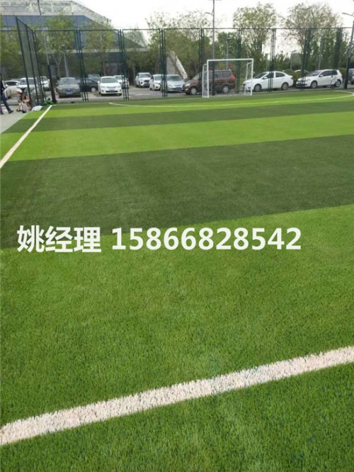邯郸学校400米足球场多少钱一方(河北廊坊环保要求)