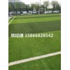 忻州足球场景观草坪围墙推荐(山西阳泉验收标准)