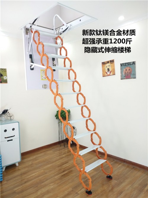 甘南藏族自治州电动楼梯专卖店新闻
